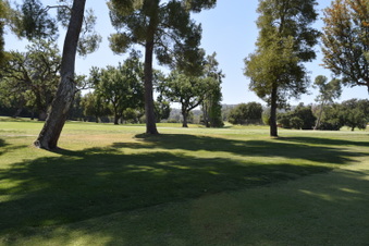 Enlarge photo 207
