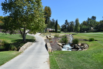 Enlarge photo 213