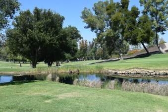 Enlarge photo 216