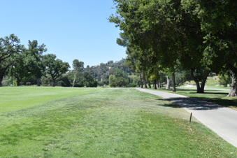 Enlarge photo 219