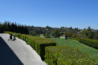 Enlarge photo 222