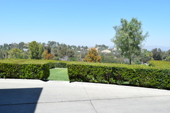 Enlarge photo 45
