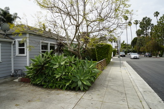 Enlarge photo 6