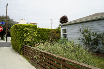 Enlarge photo 15