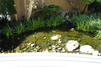 Enlarge photo 37