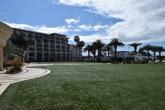 Enlarge photo 132