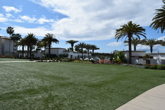 Enlarge photo 135