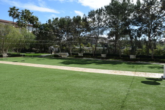 Enlarge photo 214