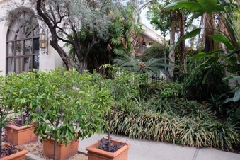 Enlarge photo 25