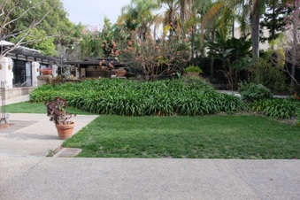 Enlarge photo 39