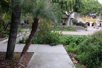 Enlarge photo 103