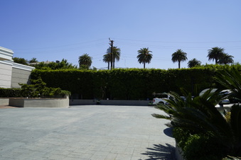 Enlarge photo 59