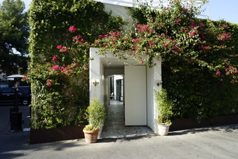 Enlarge photo 39