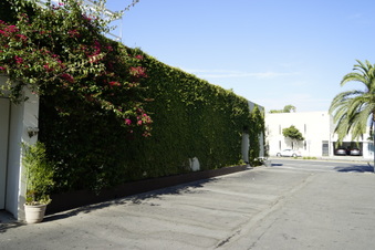 Enlarge photo 40