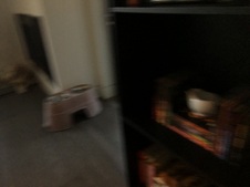 Enlarge photo 62
