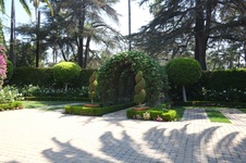 Enlarge photo 15