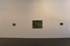 Enlarge photo 17