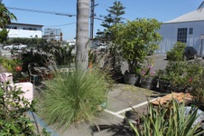 Enlarge photo 51