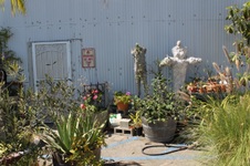 Enlarge photo 52