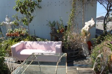 Enlarge photo 54