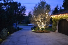 Enlarge photo 4