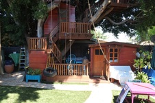 Enlarge photo 30