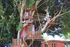 Enlarge photo 31