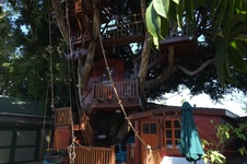 Enlarge photo 32