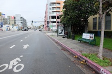 Motor and Palms