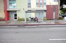Pico at Veteran