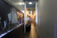 Enlarge photo 24