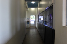 Enlarge photo 27