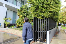 Enlarge photo 41