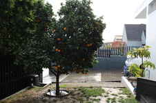 Enlarge photo 39