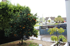 Enlarge photo 38