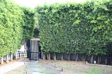 Enlarge photo 37