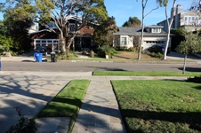 Enlarge photo 16