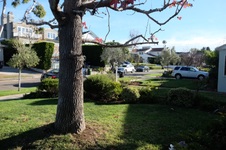 Enlarge photo 17