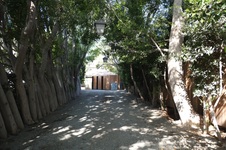 Enlarge photo 2