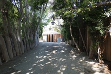 Enlarge photo 3