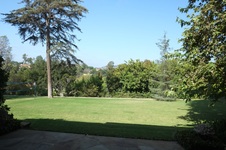 Enlarge photo 45