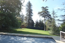 Enlarge photo 51