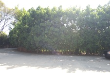 Enlarge photo 55