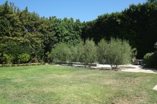 Enlarge photo 40