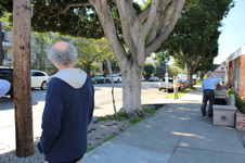 Enlarge photo 19