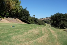Enlarge photo 32