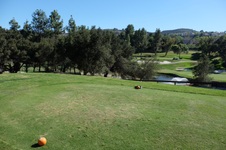 Enlarge photo 34