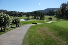 Enlarge photo 41