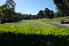 Enlarge photo 52