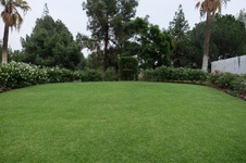 Enlarge photo 17